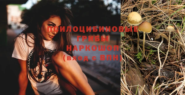 марки nbome Алексеевка