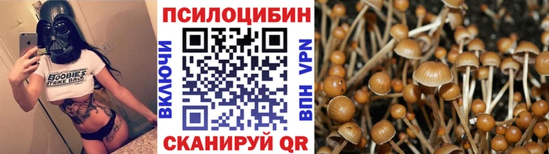 Галлюциногенные грибы GOLDEN TEACHER Ухта