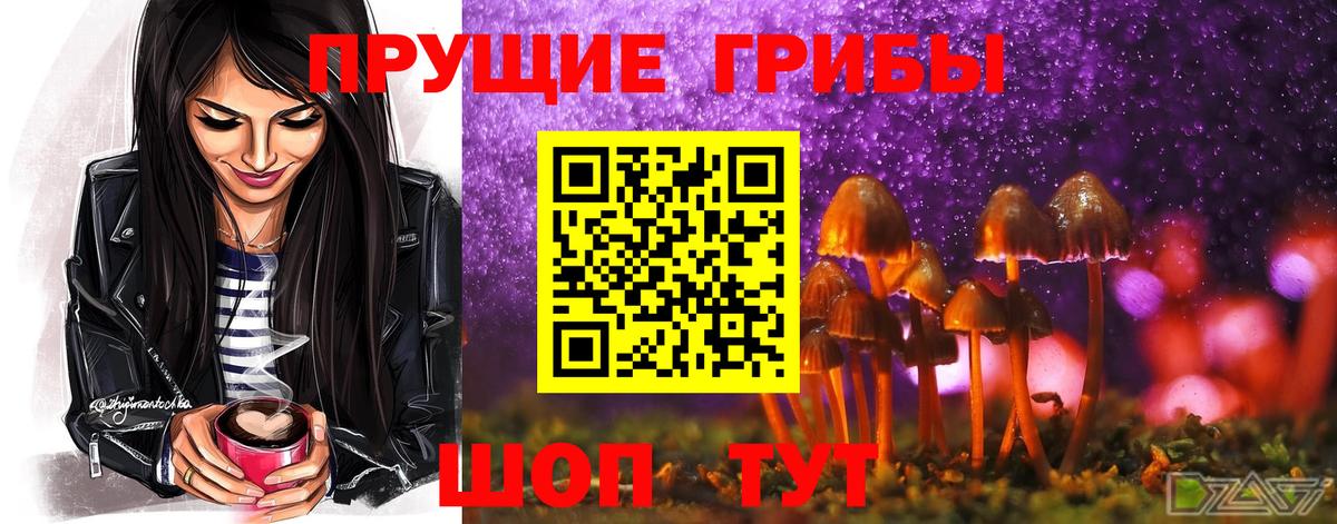 Галлюциногенные грибы MAGIC MUSHROOMS Ухта